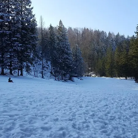 Apartament Dolina Bialego * Zakopane